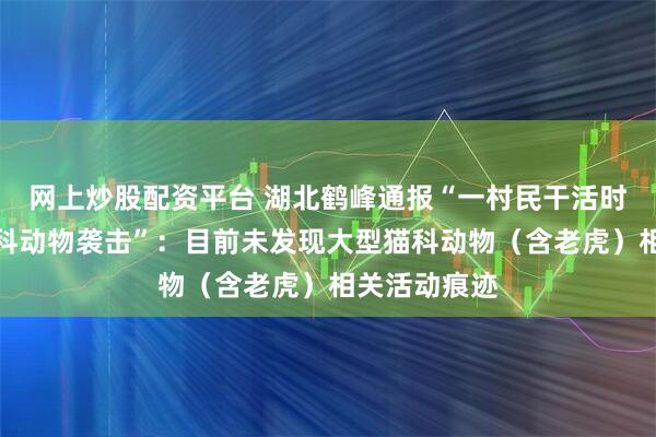 网上炒股配资平台 湖北鹤峰通报“一村民干活时称遭大型猫科动物袭击”：目前未发现大型猫科动物（含老虎）相关活动痕迹